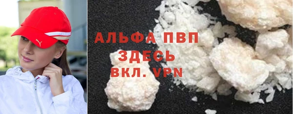 крисы Белокуриха