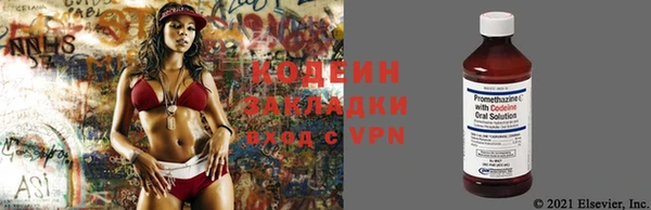 крисы Белокуриха