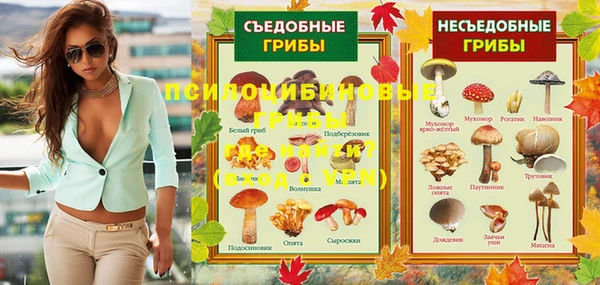 крисы Белокуриха