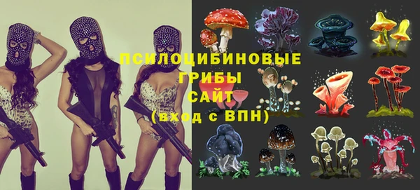 spice Вязники