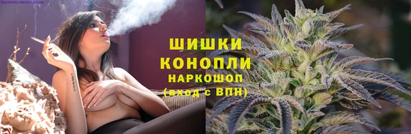 крисы Белокуриха