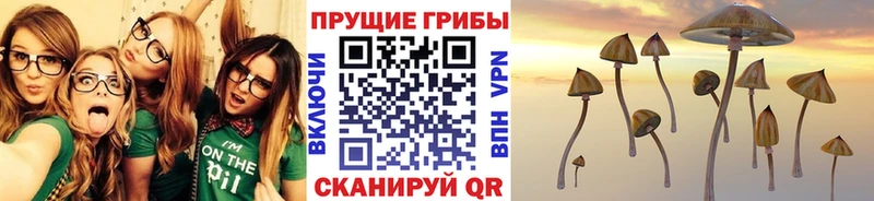 Галлюциногенные грибы прущие грибы купить наркоту kraken ссылки Воскресенск