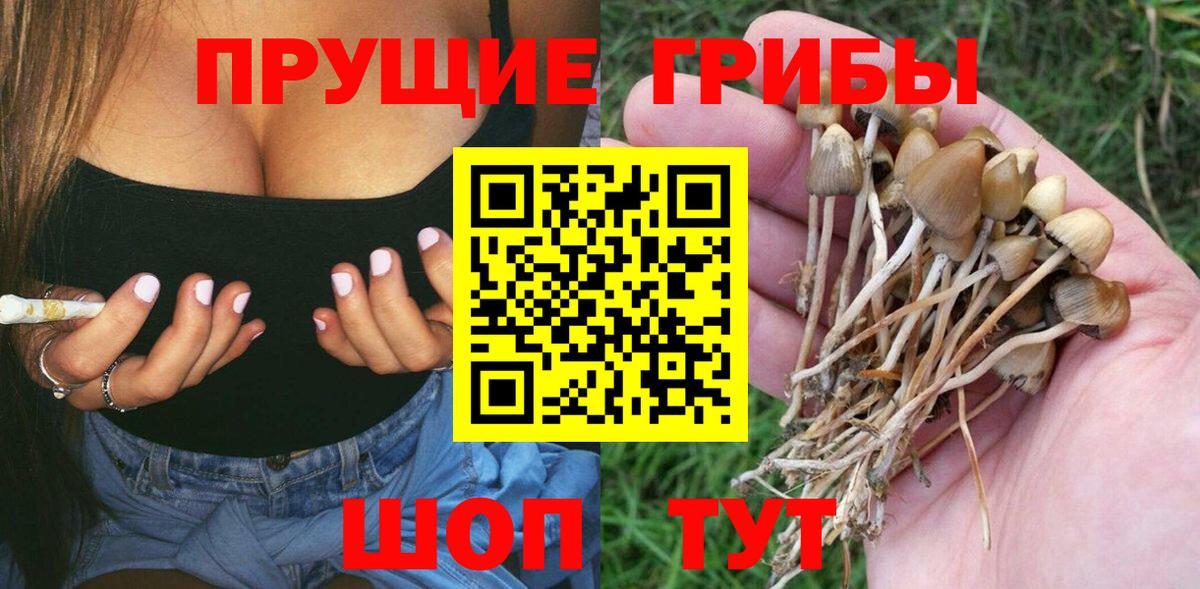 Галлюциногенные грибы MAGIC MUSHROOMS  Галлюциногенные грибы прущие грибы  Воскресенск  Вход с VPN 