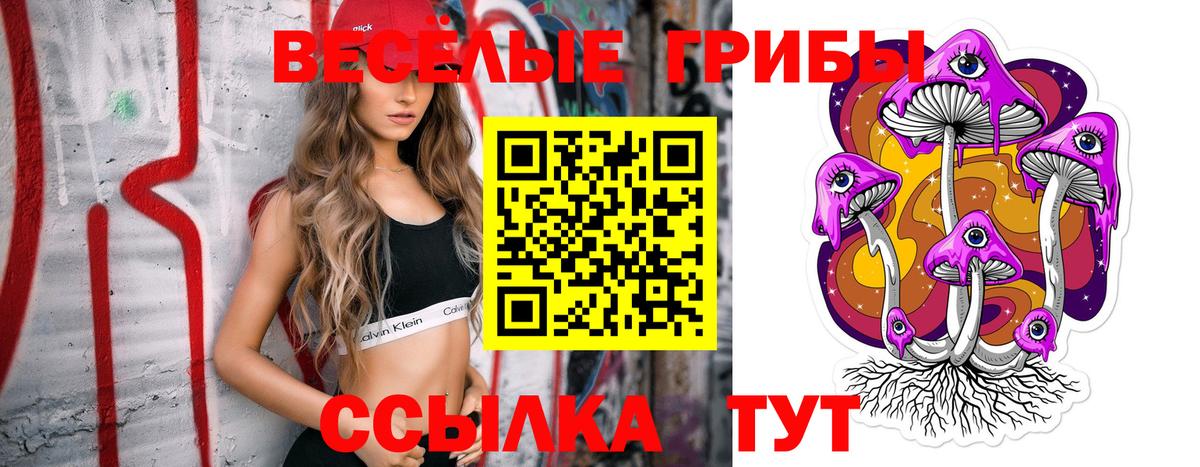 Галлюциногенные грибы GOLDEN TEACHER  Воскресенск 